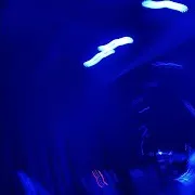 The Primitive Shine