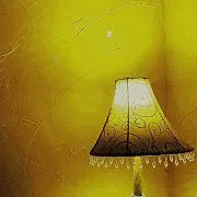 The Primitive Shine
